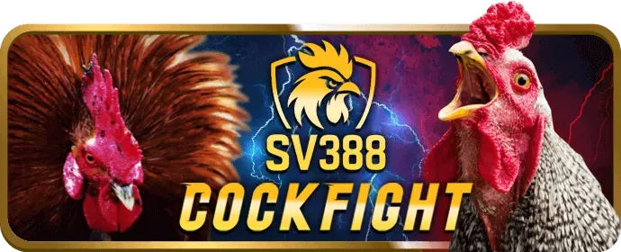 Máy đánh bạc (Slot game) trên neo79 app
